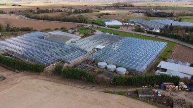 İngiltere 'nin kırsal kesimindeki büyük bir ticari seranın insansız hava aracı görüntüsü yüksek teknoloji sebze yetiştirme ve sürdürülebilir gıda üretimi için..