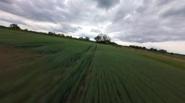FPV insansız hava aracı kırsal alanda yerin üzerinde uçuyor. yüksek hızlı yarış dronu. 