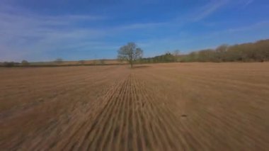 FPV insansız hava aracı gün batımında İngiltere 'nin yeşil arazilerinden geçer, çiftlik hayvanlarının, çitlerin ve çayırların yanından geçer, yukarıdan kırsal manzaranın güzelliğini yakalar.