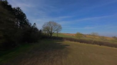 FPV insansız hava aracı gün batımında İngiltere 'nin yeşil arazilerinden geçer, çiftlik hayvanlarının, çitlerin ve çayırların yanından geçer, yukarıdan kırsal manzaranın güzelliğini yakalar.