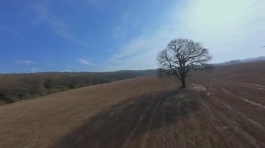 FPV insansız hava aracı gün batımında İngiltere 'nin yeşil arazilerinden geçer, çiftlik hayvanlarının, çitlerin ve çayırların yanından geçer, yukarıdan kırsal manzaranın güzelliğini yakalar.