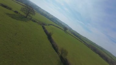 FPV insansız hava aracı gün batımında İngiltere 'nin yeşil arazilerinden geçer, çiftlik hayvanlarının, çitlerin ve çayırların yanından geçer, yukarıdan kırsal manzaranın güzelliğini yakalar.