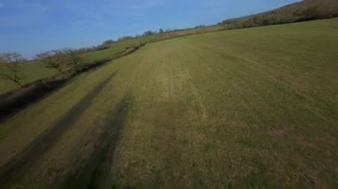 FPV insansız hava aracı gün batımında İngiltere 'nin yeşil arazilerinden geçer, çiftlik hayvanlarının, çitlerin ve çayırların yanından geçer, yukarıdan kırsal manzaranın güzelliğini yakalar.