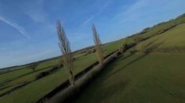 FPV insansız hava aracı gün batımında İngiltere 'nin yeşil arazilerinden geçer, çiftlik hayvanlarının, çitlerin ve çayırların yanından geçer, yukarıdan kırsal manzaranın güzelliğini yakalar.