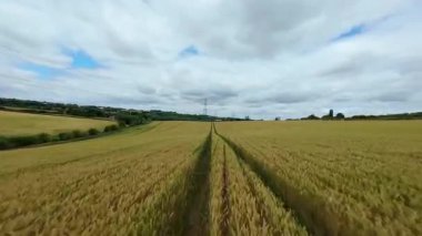 FPV insansız hava aracı, ekin ve buğday tarlaları üzerinde havadan görüş sağlıyor. Altın mısır tarlaları ve İngiltere kırsalındaki traktör ve elektrik hatları için pist işaretleri.