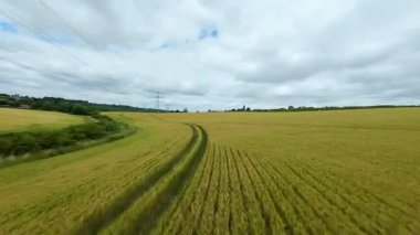 FPV insansız hava aracı, ekin ve buğday tarlaları üzerinde havadan görüş sağlıyor. Altın mısır tarlaları ve İngiltere kırsalındaki traktör ve elektrik hatları için pist işaretleri.