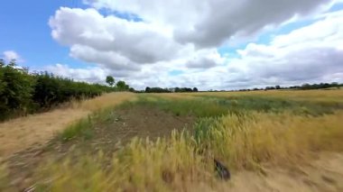 FPV insansız hava aracı, ekin ve buğday tarlaları üzerinde havadan görüş sağlıyor. Altın mısır tarlaları ve İngiltere kırsalındaki traktör ve elektrik hatları için pist işaretleri.