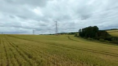 FPV insansız hava aracı, ekin ve buğday tarlaları üzerinde havadan görüş sağlıyor. Altın mısır tarlaları ve İngiltere kırsalındaki traktör ve elektrik hatları için pist işaretleri.