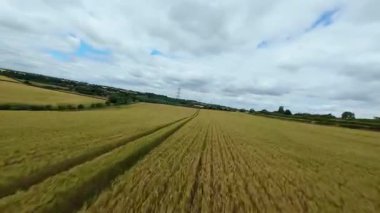 FPV insansız hava aracı, ekin ve buğday tarlaları üzerinde havadan görüş sağlıyor. Altın mısır tarlaları ve İngiltere kırsalındaki traktör ve elektrik hatları için pist işaretleri.