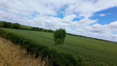 FPV insansız hava aracı kırsal araziler ve otlaklar üzerinde, akşam vakti İngiltere 'de altın ışık.