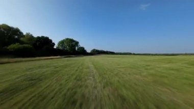 FPV hava görüntüsü, İngiltere 'de kırsal alanlar ve araziler, tarım ve çiftlik hayvanları üzerinde hızlı bir şekilde uçuşa geçiyor.