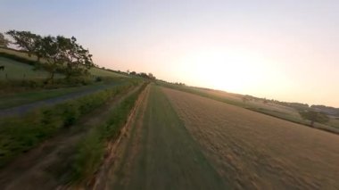 FPV hava görüntüsü, İngiltere 'de kırsal alanlar ve araziler, tarım ve çiftlik hayvanları üzerinde hızlı bir şekilde uçuşa geçiyor.