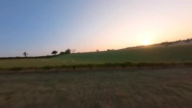 FPV hava görüntüsü, İngiltere 'de kırsal alanlar ve araziler, tarım ve çiftlik hayvanları üzerinde hızlı bir şekilde uçuşa geçiyor.