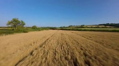 FPV hava görüntüsü, İngiltere 'de kırsal alanlar ve araziler, tarım ve çiftlik hayvanları üzerinde hızlı bir şekilde uçuşa geçiyor.