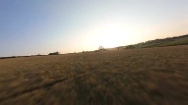 FPV hava görüntüsü, İngiltere 'de kırsal alanlar ve araziler, tarım ve çiftlik hayvanları üzerinde hızlı bir şekilde uçuşa geçiyor.