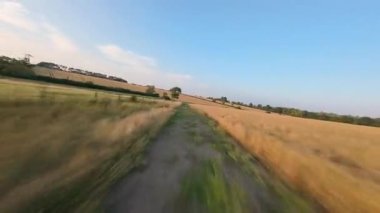 FPV hava görüntüsü, İngiltere 'de kırsal alanlar ve araziler, tarım ve çiftlik hayvanları üzerinde hızlı bir şekilde uçuşa geçiyor.