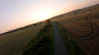 FPV hava görüntüsü, İngiltere 'de kırsal alanlar ve araziler, tarım ve çiftlik hayvanları üzerinde hızlı bir şekilde uçuşa geçiyor.