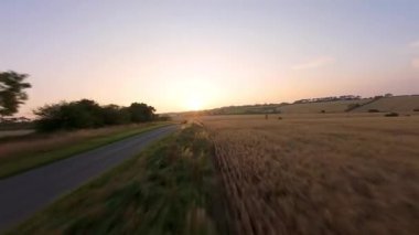 FPV hava görüntüsü, İngiltere 'de kırsal alanlar ve araziler, tarım ve çiftlik hayvanları üzerinde hızlı bir şekilde uçuşa geçiyor.