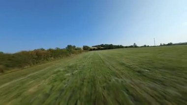 FPV hava görüntüsü, İngiltere 'de kırsal alanlar ve araziler, tarım ve çiftlik hayvanları üzerinde hızlı bir şekilde uçuşa geçiyor.