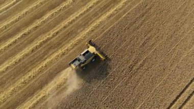 Doğu Midlands kırsalındaki traktörler ve hasatçılarla endüstriyel ölçekli tahıl toplama operasyonlarının hava görüntüsü