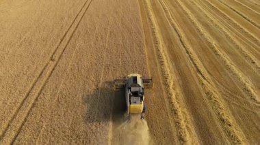 Doğu Midlands kırsalındaki traktörler ve hasatçılarla endüstriyel ölçekli tahıl toplama operasyonlarının hava görüntüsü