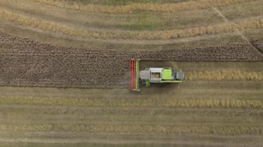 Doğu Midlands kırsalındaki traktörler ve hasatçılarla endüstriyel ölçekli tahıl toplama operasyonlarının hava görüntüsü