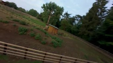 FPV hava görüntüsü, İngiltere 'de kırsal alanlar ve araziler, tarım ve çiftlik hayvanları üzerinde hızlı bir şekilde uçuşa geçiyor.