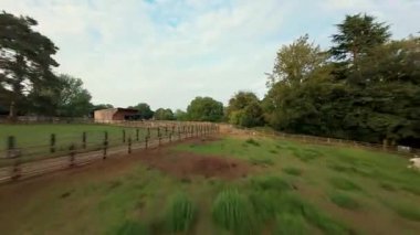 FPV hava görüntüsü, İngiltere 'de kırsal alanlar ve araziler, tarım ve çiftlik hayvanları üzerinde hızlı bir şekilde uçuşa geçiyor.