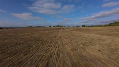 FPV hava görüntüsü, İngiltere 'de kırsal alanlar ve araziler, tarım ve çiftlik hayvanları üzerinde hızlı bir şekilde uçuşa geçiyor.