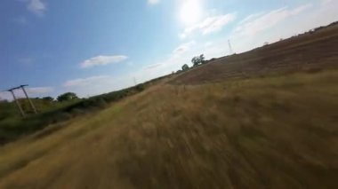 FPV hava görüntüsü, İngiltere 'de kırsal alanlar ve araziler, tarım ve çiftlik hayvanları üzerinde hızlı bir şekilde uçuşa geçiyor.