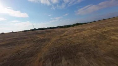 FPV hava görüntüsü, İngiltere 'de kırsal alanlar ve araziler, tarım ve çiftlik hayvanları üzerinde hızlı bir şekilde uçuşa geçiyor.