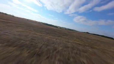 FPV hava görüntüsü, İngiltere 'de kırsal alanlar ve araziler, tarım ve çiftlik hayvanları üzerinde hızlı bir şekilde uçuşa geçiyor.