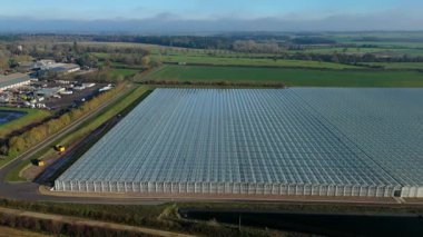 İngiltere 'nin kırsal kesimindeki büyük bir ticari seranın insansız hava aracı görüntüsü yüksek teknoloji sebze yetiştirme ve sürdürülebilir gıda üretimi için..