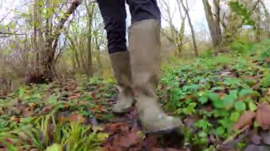 Güneşle ıslanmış sonbahar ormanlarında altın yapraklarla yürüyen etkileyici bir POV.