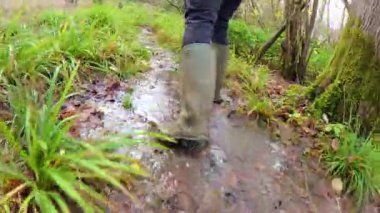 Güneşle ıslanmış sonbahar ormanlarında altın yapraklarla yürüyen etkileyici bir POV.