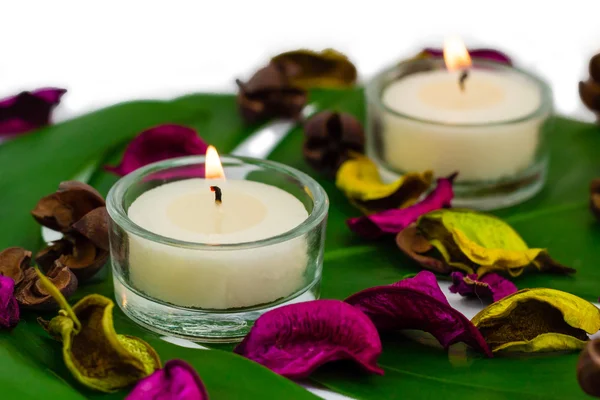 Composição colorida fresca de velas em chamas, potpourri perfumado na folha monstera — Fotografia de Stock