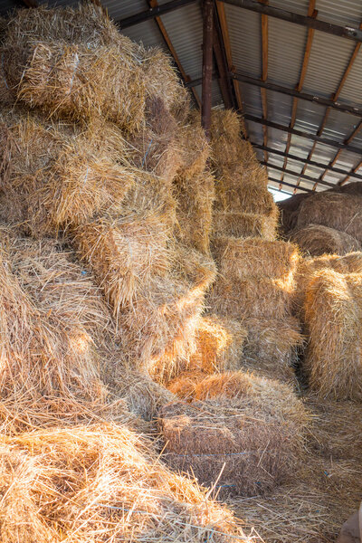 Hay stacks at farm haylof hangar