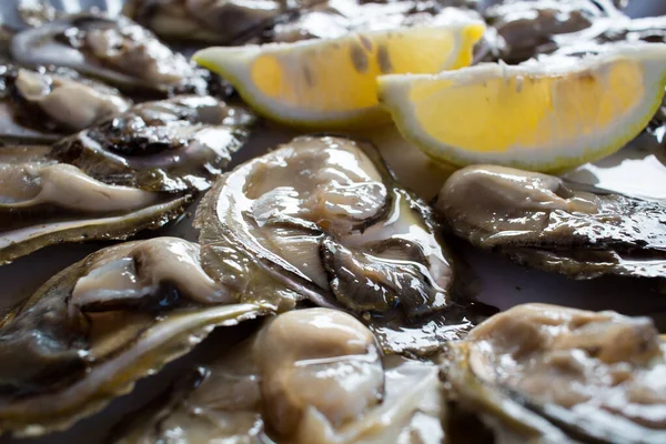 Placa Alimentos Ostras Orgánicas Frescas Con Limón — Foto de Stock