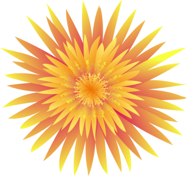 Bir portakal çiçeğinin yakın plan çizimi.