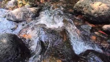 Nehir ya da şelalenin yavaş akışı, çok doğal. akışı temizle.
