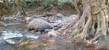 Wang Takrai Şelalesi Ulusal Parkı, Nakhon Nayok, Tayland 'daki bir ormanda kayalar ve ağaçlarla çevrili bir dere..