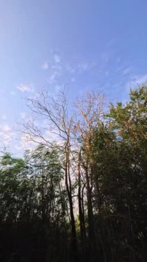 Zaman ayarlı, bulutlar arka planda, ağaçlar ve mavi gökyüzü