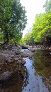 Akarsu, çevreleyen ağaçlar, yeşillikler berekete katar.