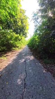 Geçit bitkiler ve ağaçlarla çevrili.