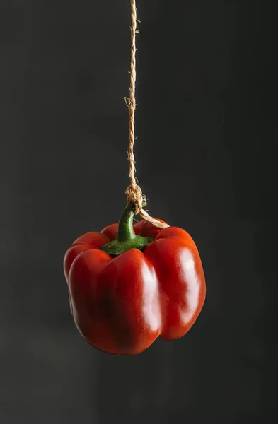 Red pepper suspended on a string against black background