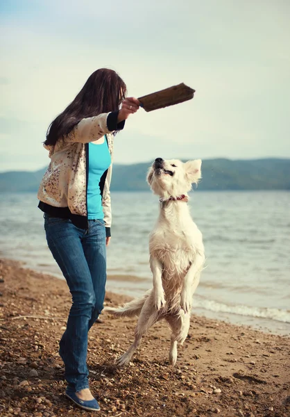 Kız bir köpekle sahilde oynuyor.