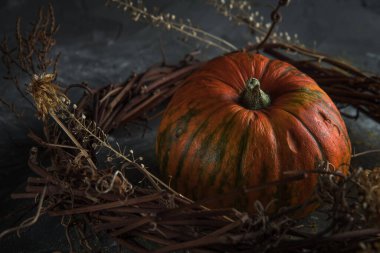 Süslü bir dal çelengi içindeki güzel balkabağı ve karanlık taş bir masanın üzerindeki kuru otlar.