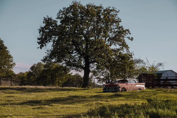 Gammal Rostig Bil Landet Ett Träd Runt Fältet Texas Fort — Stockfoto