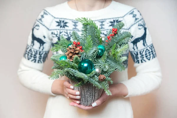 Noel süveteri giymiş bir kız elinde güzel bir Noel kompozisyonu oyuncakları ve saksıda bir Noel ağacı tutuyor. Noel