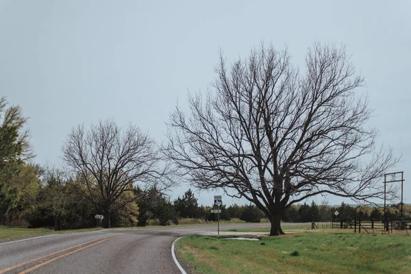 Vista Carretera Del Pueblo Primavera Texas —  Fotos de Stock